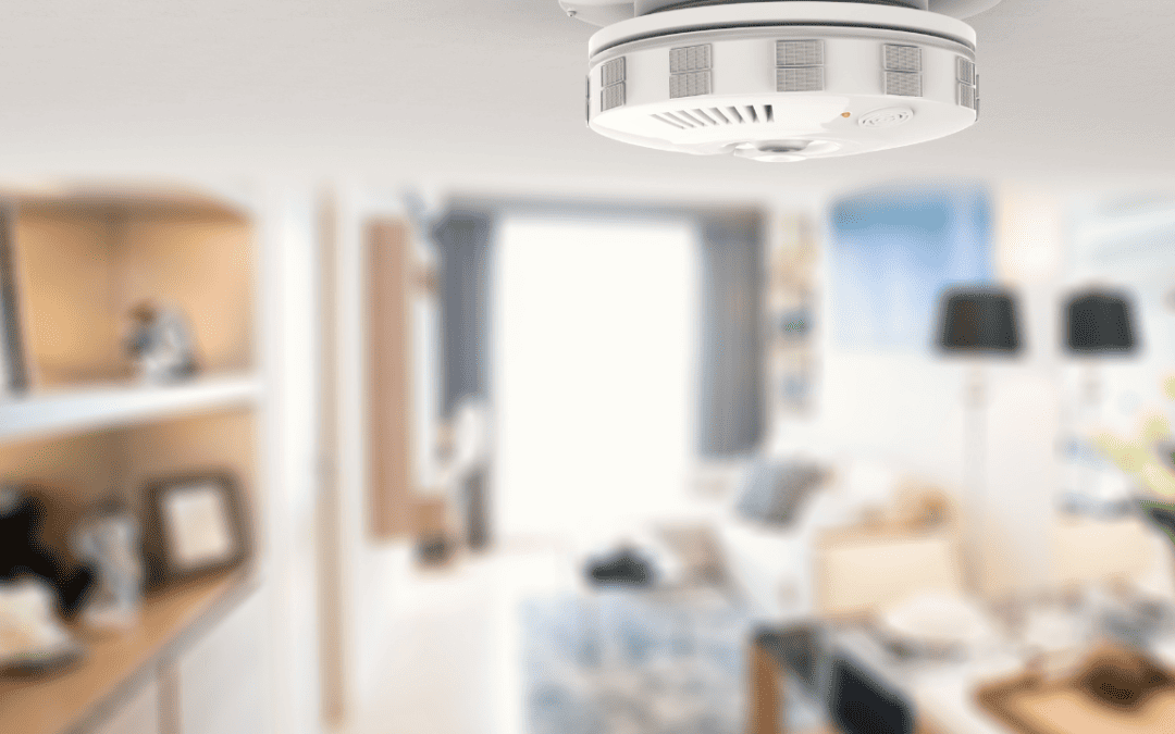 Home Safety Guide: Smoke and Carbon Monoxide Detectors, Non-Toxic Paint, Pet Safety, How to Put out Kitchen Fires